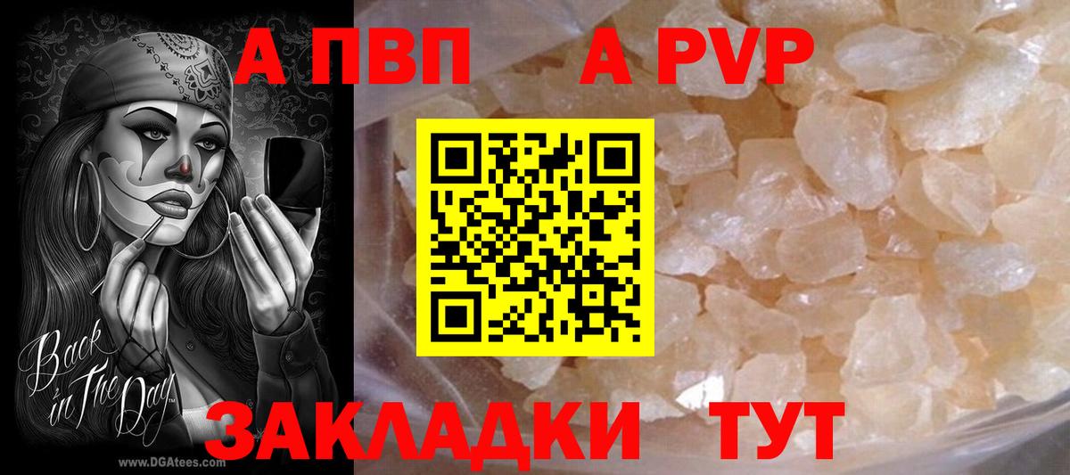 Альфа ПВП СК Великий Устюг