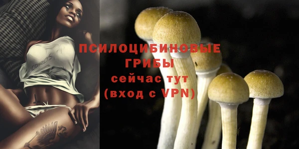 спиды Болохово