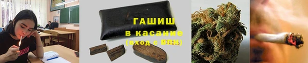шишки Татарск