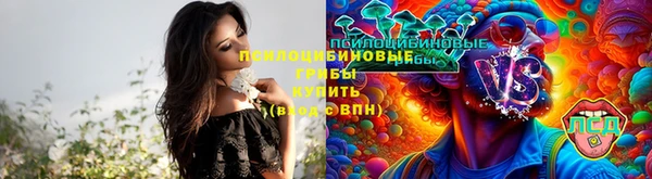jwh Вуктыл