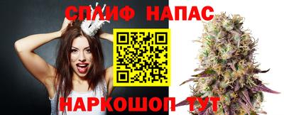 крисы Беслан