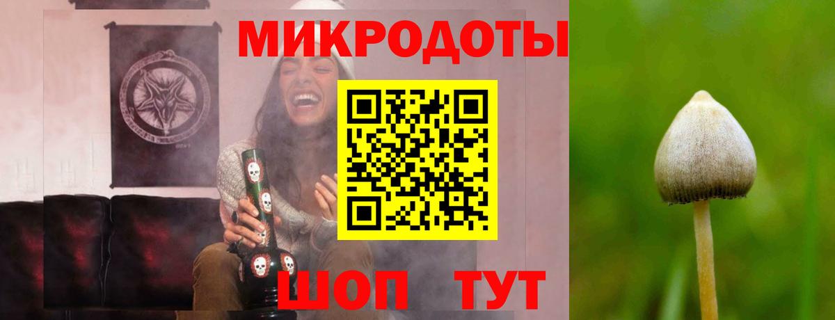 Галлюциногенные грибы мухоморы  Вход с VPN  Галлюциногенные грибы Magic Shrooms  Великий Устюг 